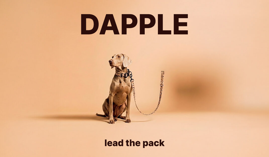 DAPPLE: ACCESORIOS PARA PERROS