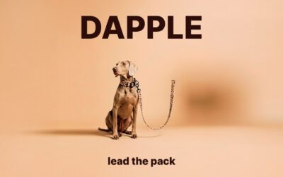 DAPPLE: ACCESORIOS PARA PERROS